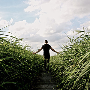 Çevre İzin Belgesi